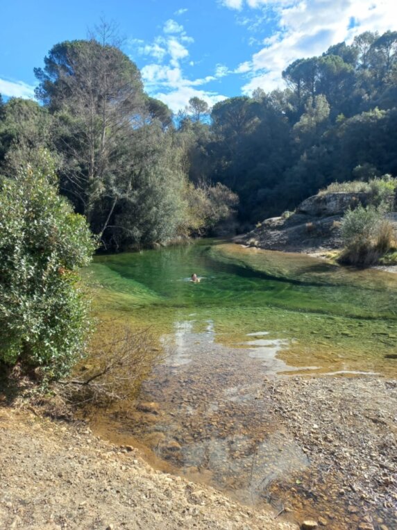 Natuurcamping in Llado - photo 7
