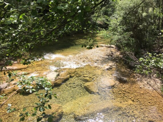 Natuurcamping in Llado - photo 14