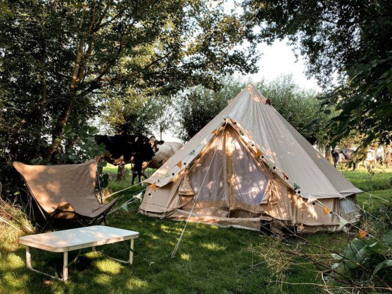 Natuurcamping in Molenaarsgraaf - photo 2