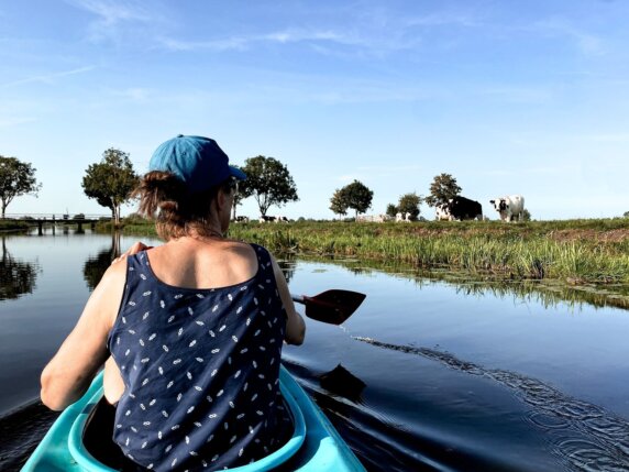 Natuurcamping in Molenaarsgraaf - photo 6