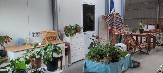 Natuurcamping in Molenaarsgraaf - photo 5
