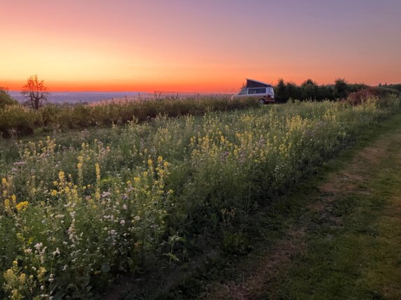 Natuurcamping in Ravensburg - photo 20