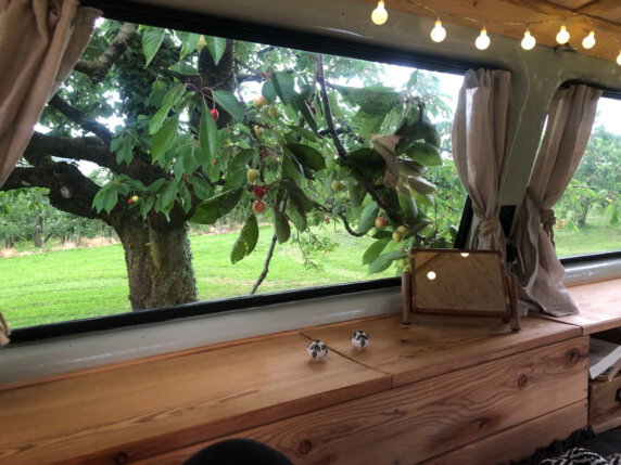 Natuurcamping in Ravensburg - photo 16
