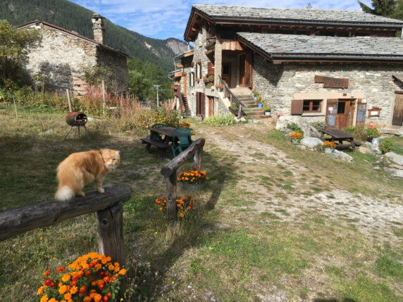 Natuurcamping in Val-Cenis - photo 7