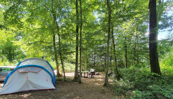 Natuurcamping in Willies - photo 1