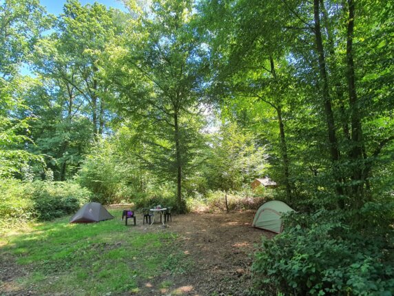 Natuurcamping in Willies - photo 4