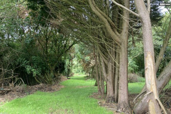 Natuurcamping in Wimille - photo 10