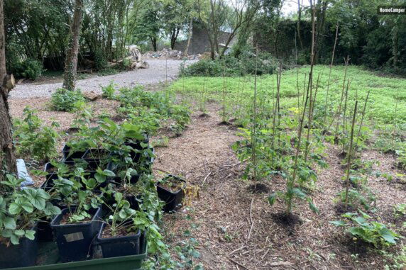 Natuurcamping in Wimille - photo 9