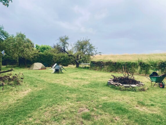 Natuurcamping in Wolphaartsdijk - photo 10
