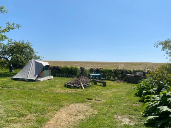 Natuurcamping in Wolphaartsdijk - photo 3