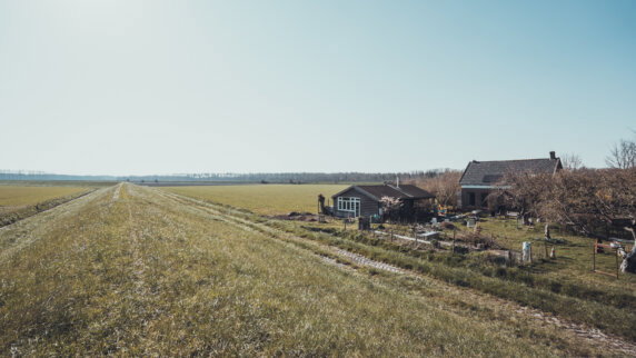 Natuurcamping in Wolphaartsdijk - photo 15