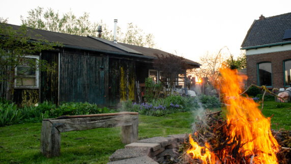 Natuurcamping in Wolphaartsdijk - photo 4