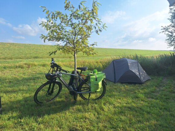 Natuurcamping in Wolphaartsdijk - photo 11