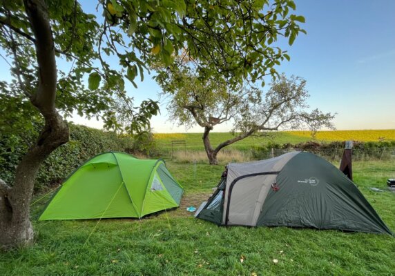 Natuurcamping in Wolphaartsdijk - photo 7