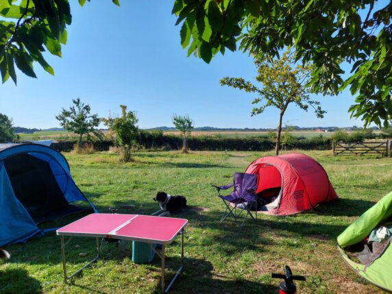 Natuurterrein ’t Heuvelhof - photo 2