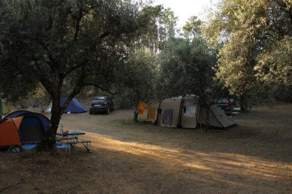 Quinta da Cerca - photo 3