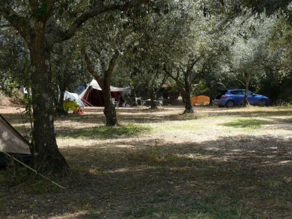 Quinta da Cerca - photo 1