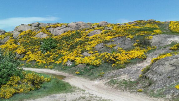 Camping Les Eaux Vives (Saint Bonnet-Laval) - photo 18