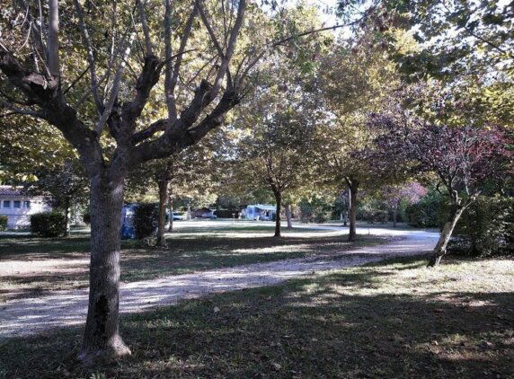 Camping Paradis Aubeterre Sur Dronne - photo 10