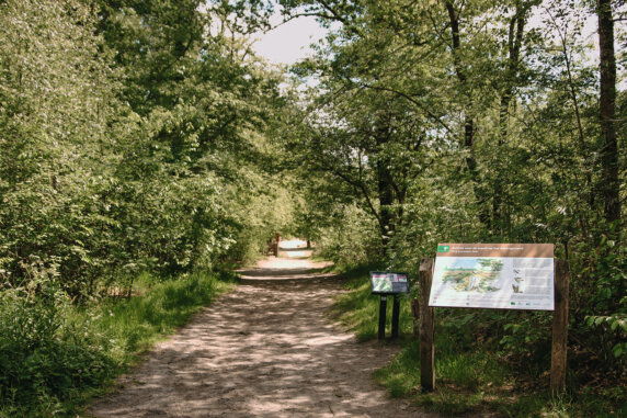 BoerenBed De Appelsche - photo 18