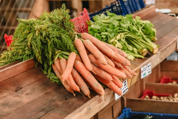 BoerenBed Les Jardins des Coccinelles - photo 20