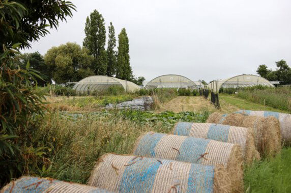 BoerenBed Les Jardins des Coccinelles - photo 11