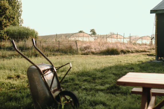 BoerenBed Les Jardins des Coccinelles - photo 2