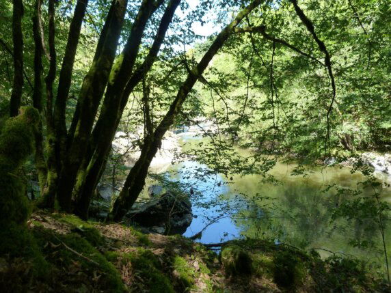 Boerencamping in Saint‑Hilaire‑les‑Places - photo 12