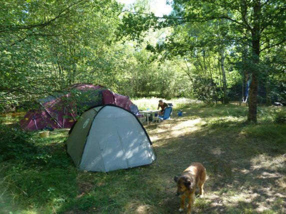 Boerencamping in Saint‑Hilaire‑les‑Places - photo 10