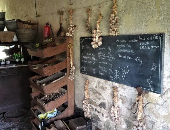 Boerencamping in Saint‑Hilaire‑les‑Places - photo 9