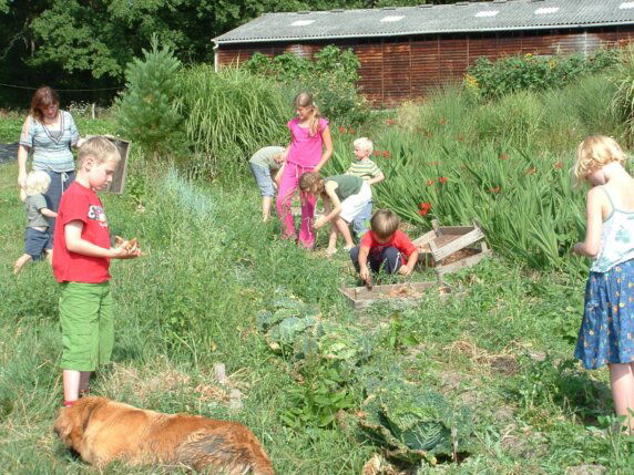 Boerencamping in Saint‑Hilaire‑les‑Places - photo 8