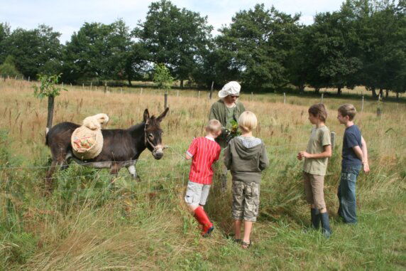 Boerencamping in Saint‑Hilaire‑les‑Places - photo 7