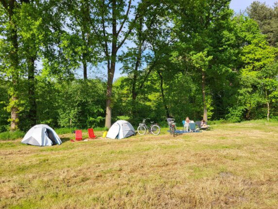 Boscamping in Pelt - photo 5