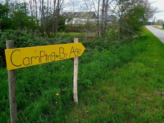 Camping By Age - photo 3