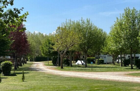 Camping Paradis Aubeterre Sur Dronne - photo 3