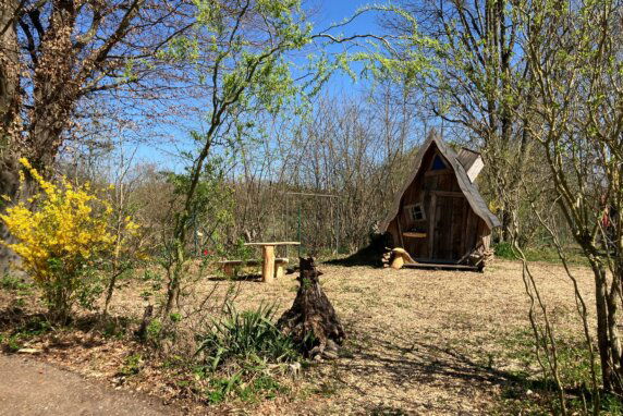 Camping Resort Rülzheim - photo 7