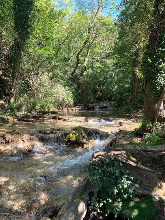 Camping Saint Martin - photo 8