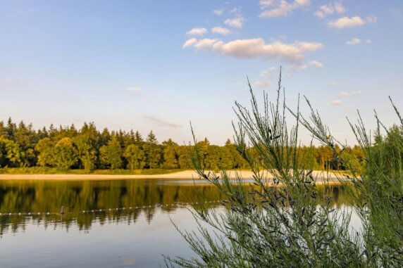 Camping Schaartven - photo 14