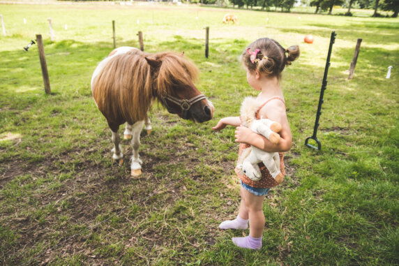 Camping Westenenk - photo 9