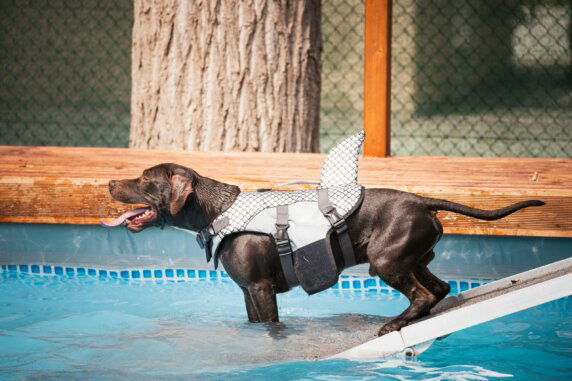 Club Del Sole Rimini Family Resort - photo 16