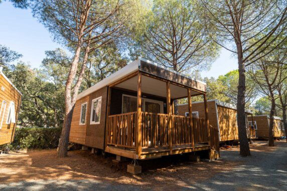 Club Del Sole Stella Del Mare Family Collection - photo 5