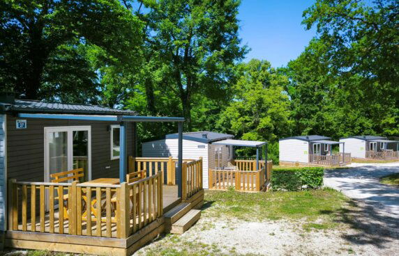 Flower Camping La Forêt - photo 3