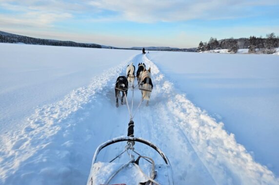 Hammarstrands Camping - photo 20