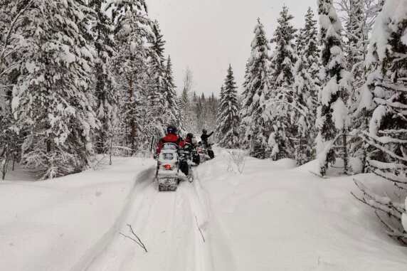 Hammarstrands Camping - photo 21