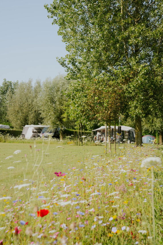 Minicamping De Catshoek - photo 1