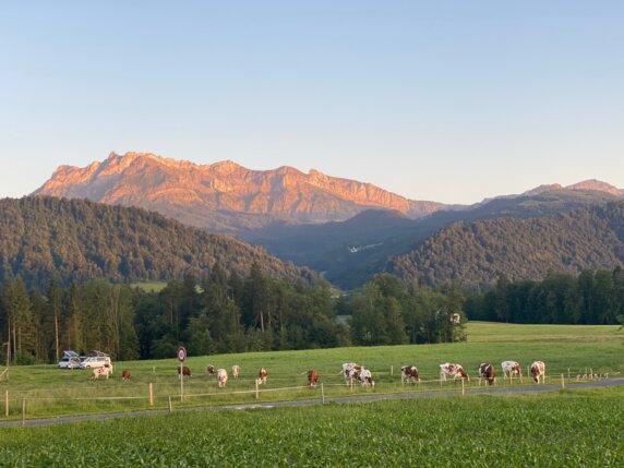 Minicamping in Luzern - photo 7