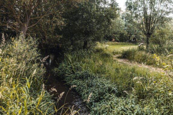 Minicamping in Pelt - photo 16