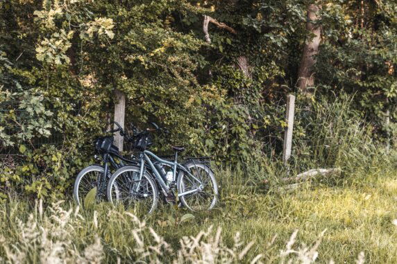 Minicamping in Pelt - photo 15