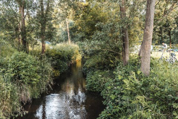 Minicamping in Pelt - photo 20