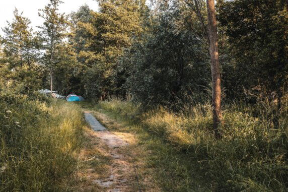 Minicamping in Pelt - photo 12